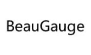 10% Off BeauGauge Instruments Suite 7.x (25 Developer License) code