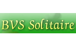 20% Off BVS Video Poker Coupon Code